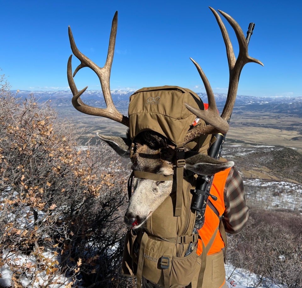 mule deer hunting