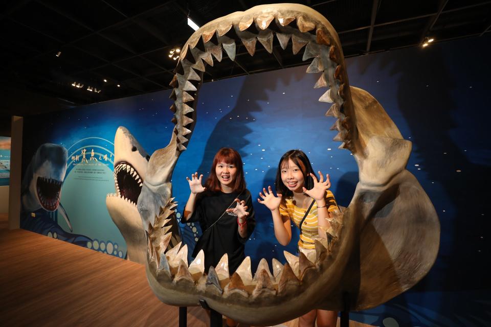 ▲科博館《在海之濱》特展「軍備競賽」單元有真實的鯊魚嘴部利牙化石，觀眾可以走進鯊魚的血盆大口拍照打卡。（科博館提供）