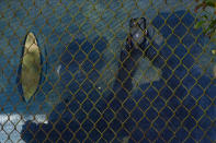 Fans watch through holes in the fence along the the 12th hole during the first round of the PGA Championship golf tournament at TPC Harding Park Thursday, Aug. 6, 2020, in San Francisco. (AP Photo/Jeff Chiu)