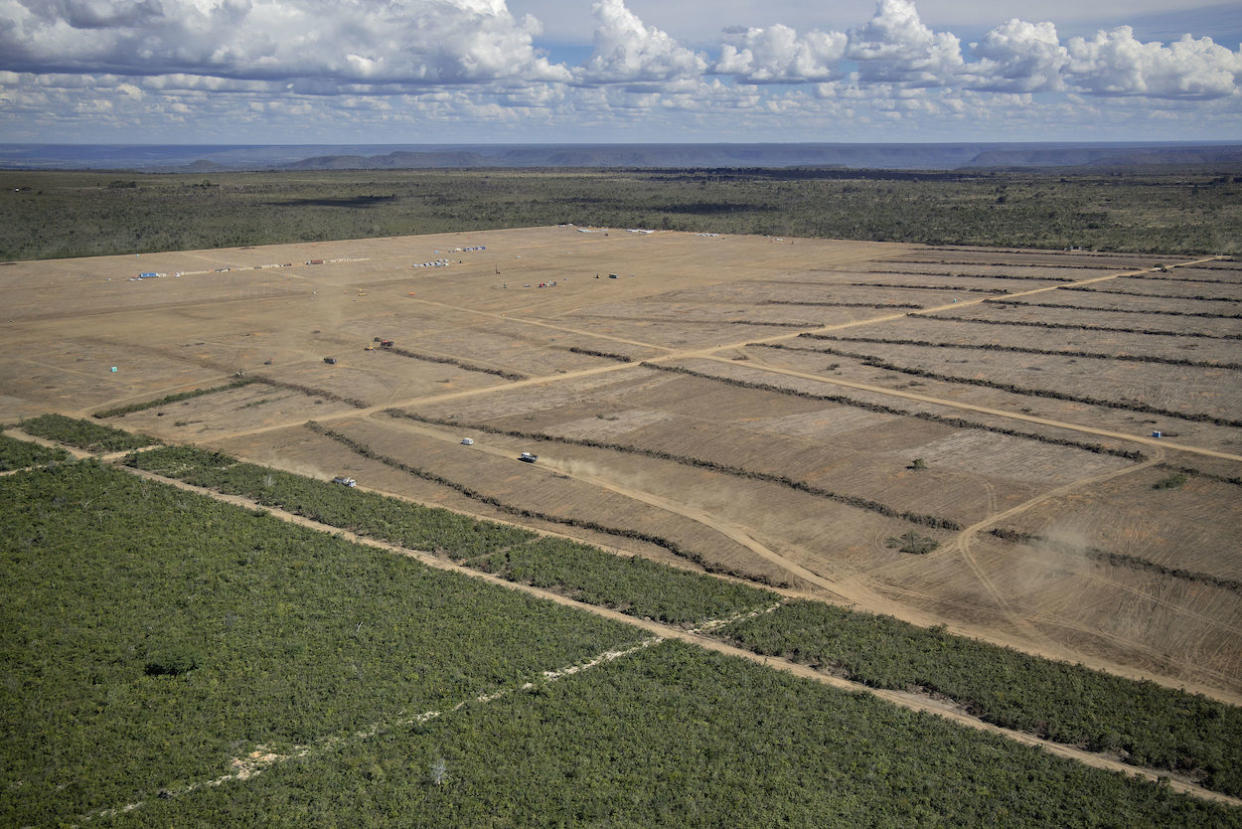 A deforested area in the municipality of Barreiras, Brazil (Picture: PA)