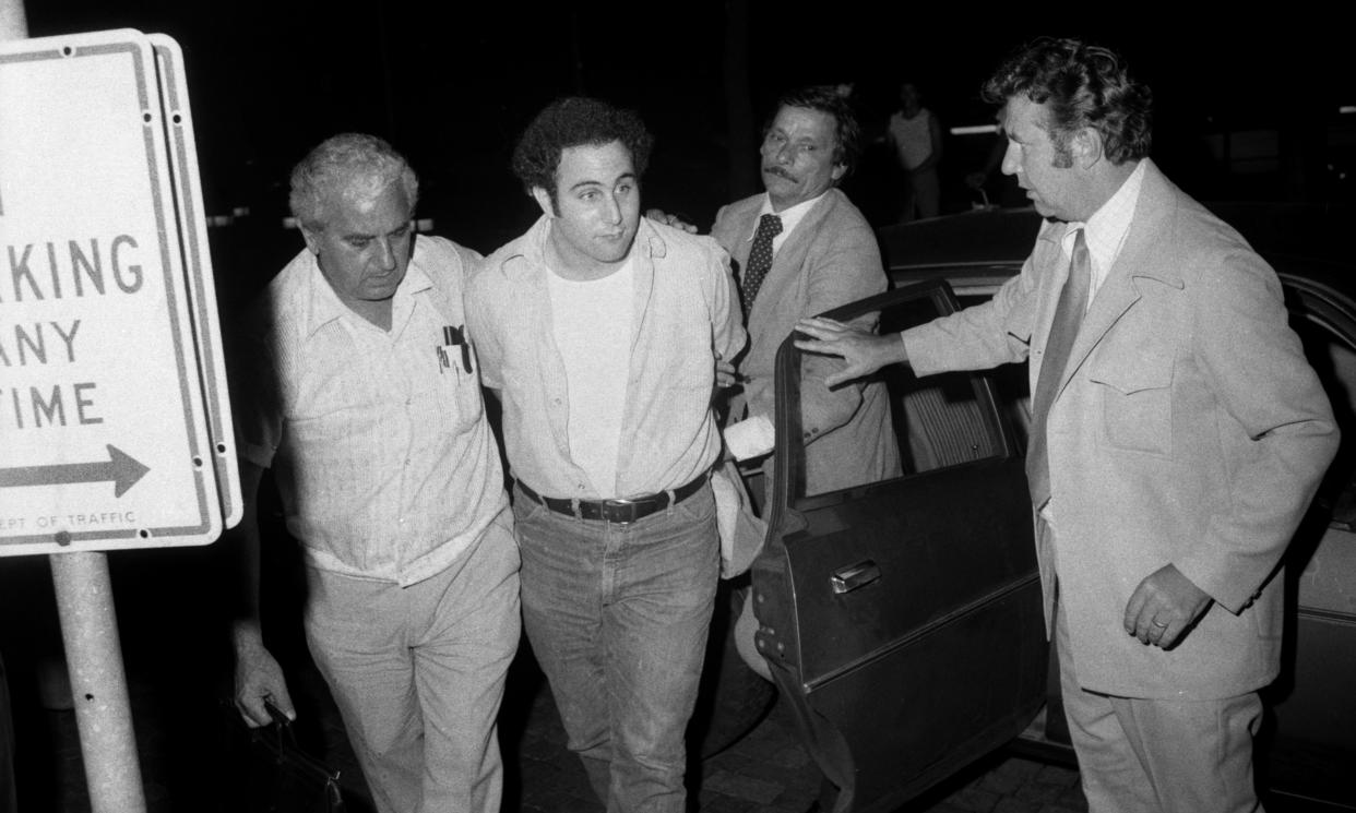 Police escort handcuffed Son of Sam suspect David Berkowitz into Police headquarters in lower Manhattan.
(Photo By: Alan Aaronson/NY Daily News via Getty Images)