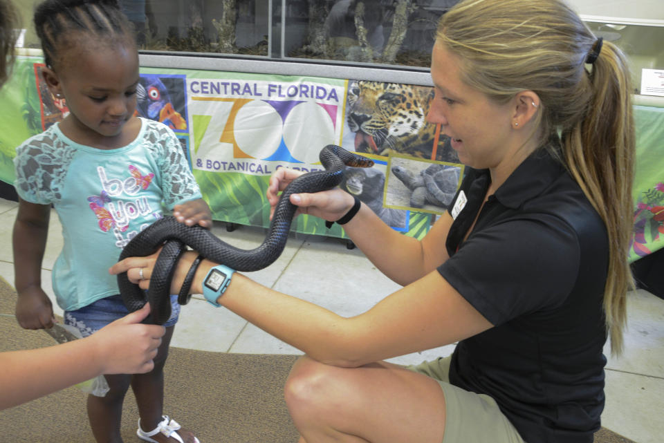 Jaliyah Simpson touches an Eastern Indigo snake held