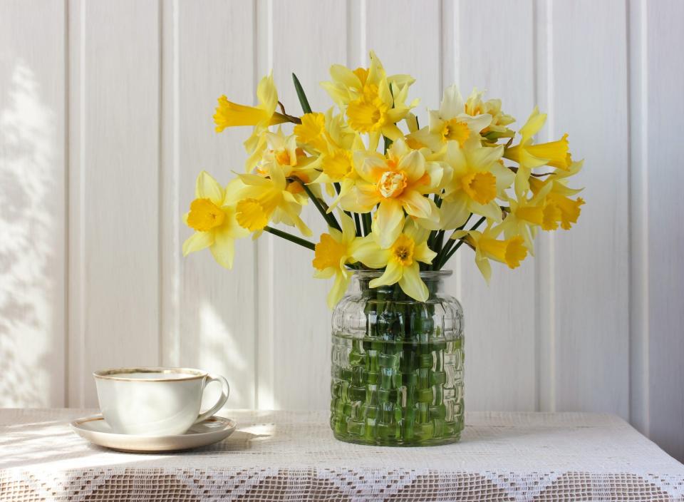 bouquet of yellow daffodils in a glass vase