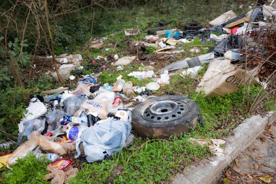 Trash and debris is strewn all over an illegal dump site in Macon. Since clean efforts started in February, eight dead dogs have been found in the rubbish.