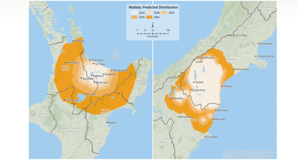 Two maps showing the predicted spread of wallabies in New Zealand. 