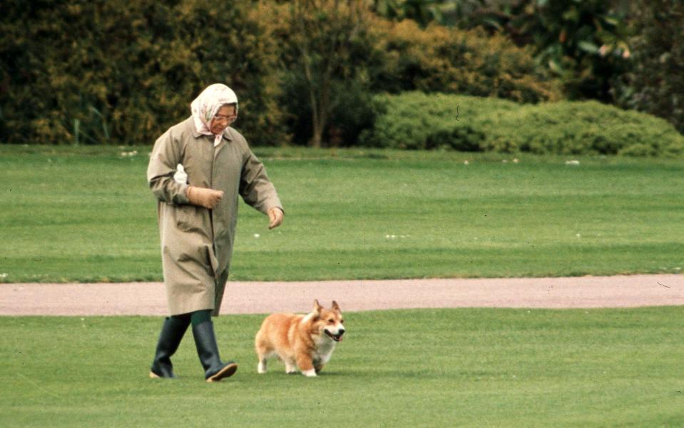 Even the Queen walks her dogs regularly  - Credit: DAVID HARTLEY/REX/Shutterstock