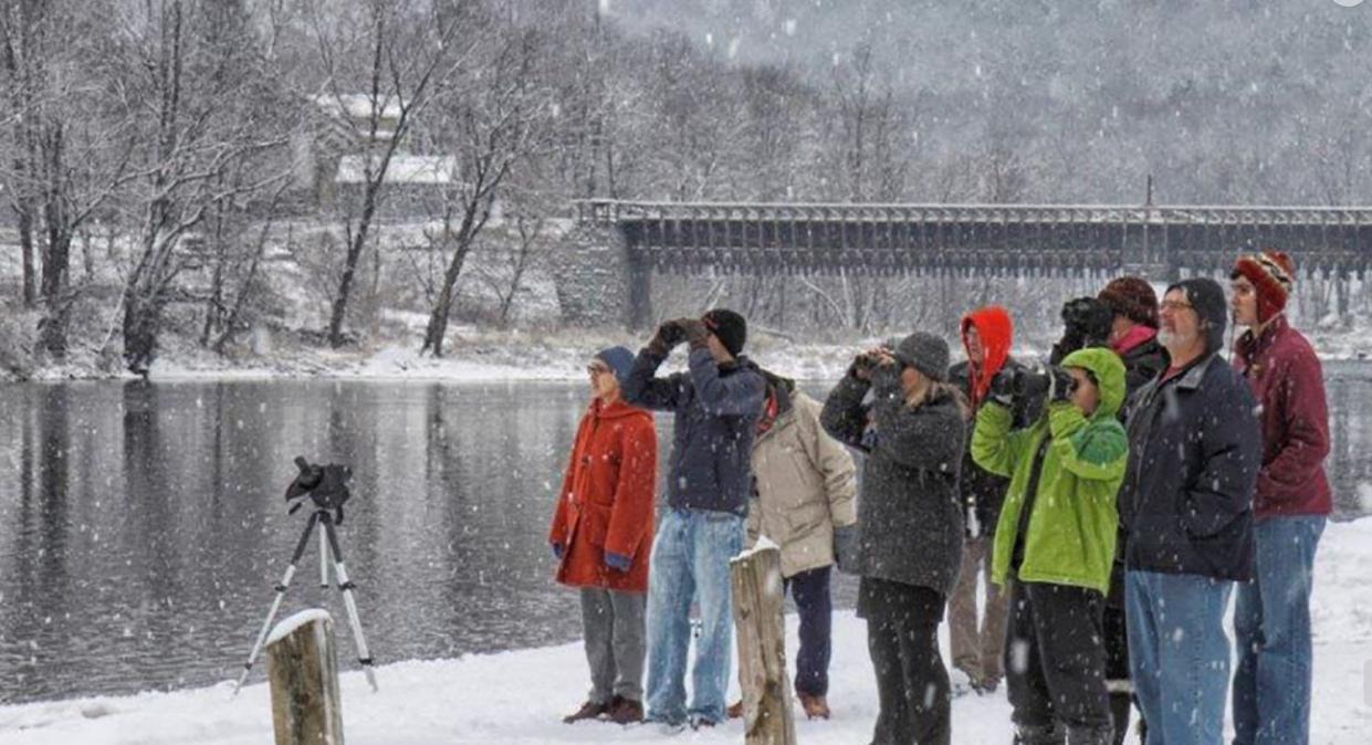 Bald eagle watching is as popular as ever in the Upper Delaware River region. Here is an eagle watch at the boat launch area in Lackawaxen, Pa., overlooking the Delaware River one snowy day. Delaware Highlands Conservancy volunteers help guide the public in looking for eagles and showing how not to disturb them.