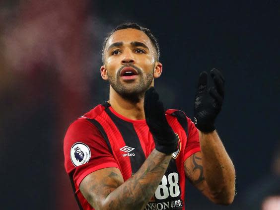 Callum Wilson ended his goal drought in Brighton’s win against Bournemouth (PA)