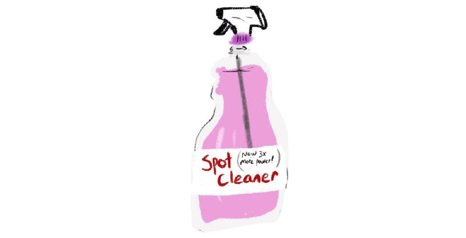 a spot cleaner 