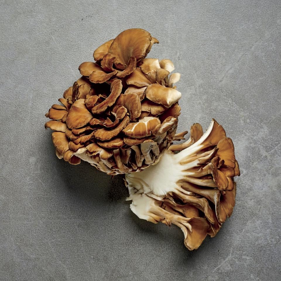 Maitake