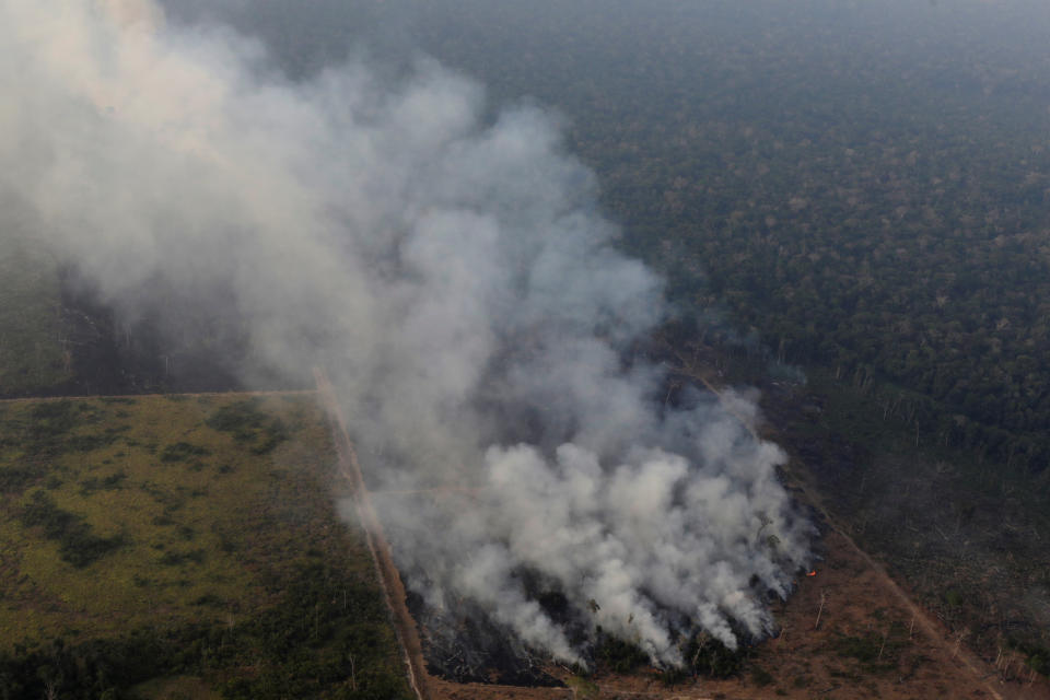 'Our house is burning'