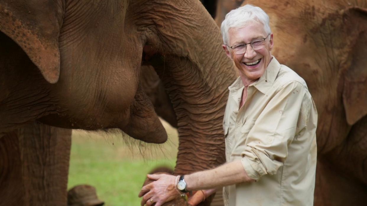   Paul O'Grady meets the Elephants at The Elephant Nature Park, which is the largest elephant rescue centre in Thailand - part of Easter TV 2024. 