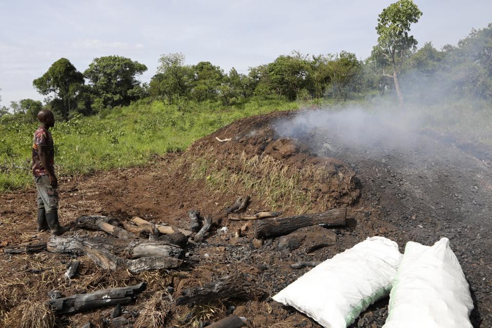 A charcoal burner watches smoke from a pile of burning logs in Gulu, Uganda on May 27 2023. The burning of charcoal, an age-old practice in many African societies, is now restricted business across northern Uganda amid a wave of resentment by locals who have warned of the threat of climate change stemming from the uncontrolled felling of trees by outsiders. (AP Photo/Hajarah Nalwadda)