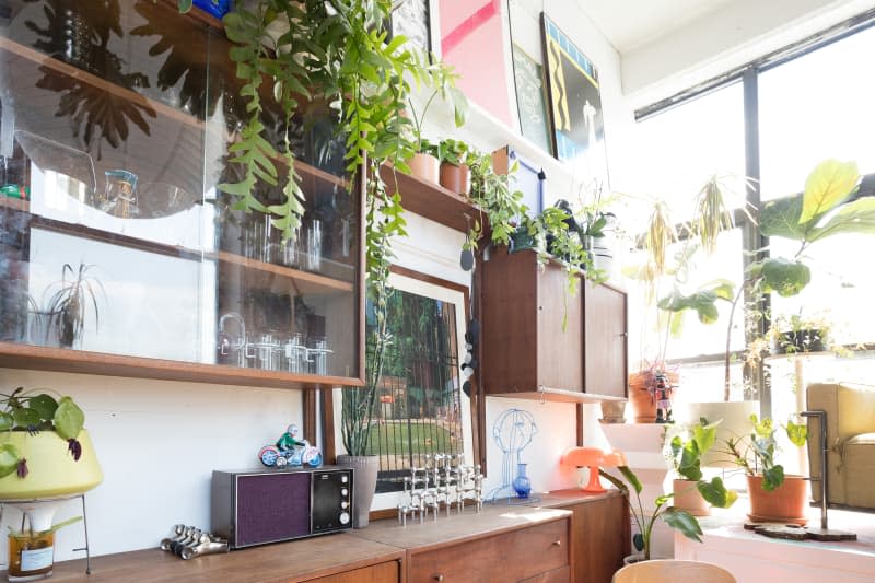 Mid century modern credenza in plant filled apartment.