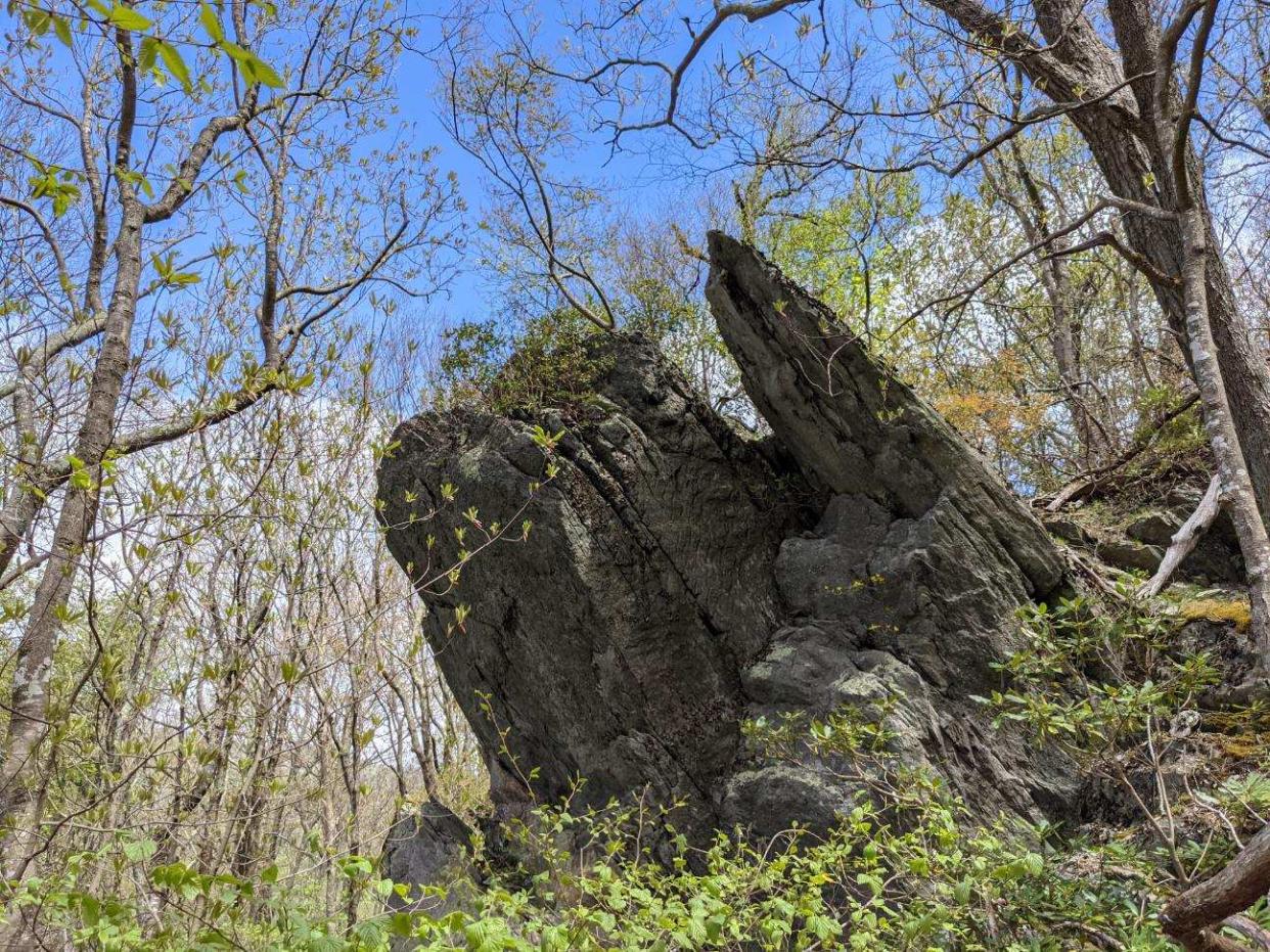 A unique rock formation that is located on the 24 acres of land recently added to the Grandfather Mountain State Park with the help of the Blue Ridge Conservancy.
