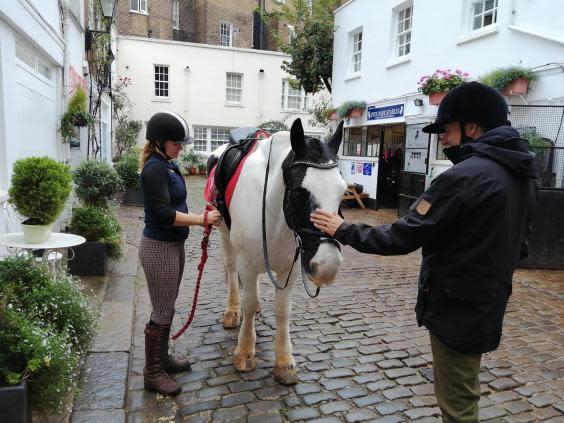 Fancy a ride? (Helen Coffey)