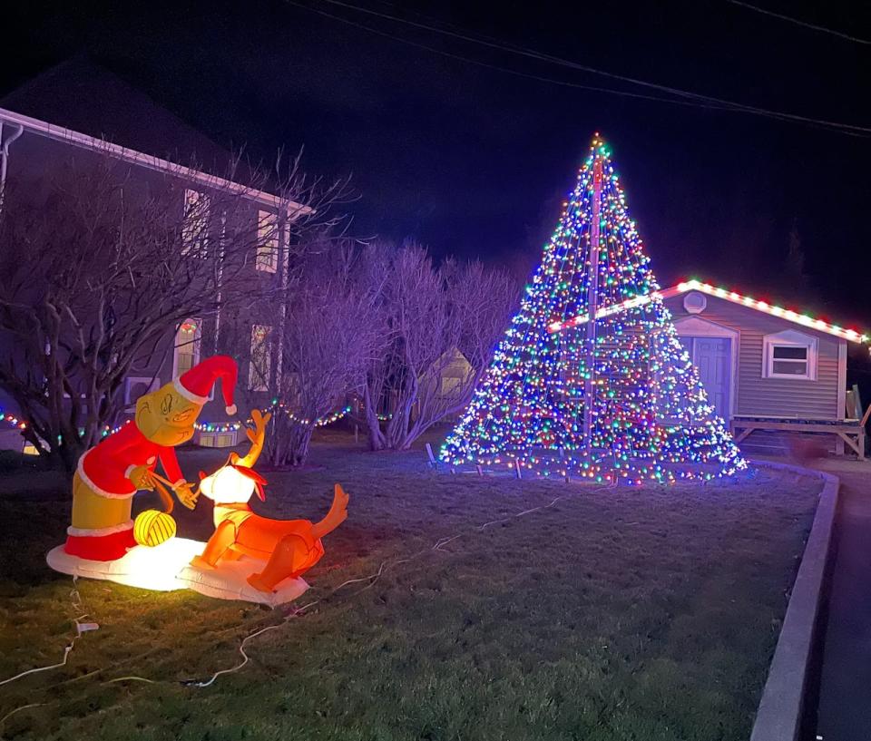 Viola Pink's tree is a little big for her living room, but it looks great on the lawn.