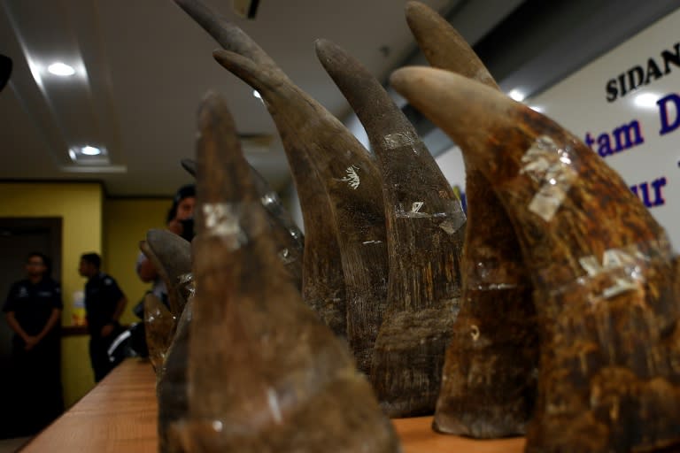 The illegal and lucrative trade in rhino horns, especially prized in Asia, has led to poaching and the decline of the species in Africa