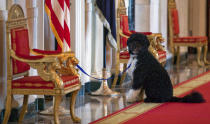 FILE - In this April 22, 2010, file photo Bo, the Obama's family pet, sits in the Cross Hall before an event with first lady Michelle Obama to welcome children of Executive Office employees at the White House's annual take our daughters and sons to work day in Washington. Former President Barack Obama’s dog, Bo, died Saturday, May 8, 2021, after a battle with cancer, the Obamas said on social media. (AP Photo/Evan Vucci, File)