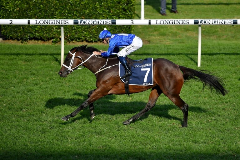 The only foal of champion Australian mare Winx sold for $6.6 million (Wendell TEODORO)