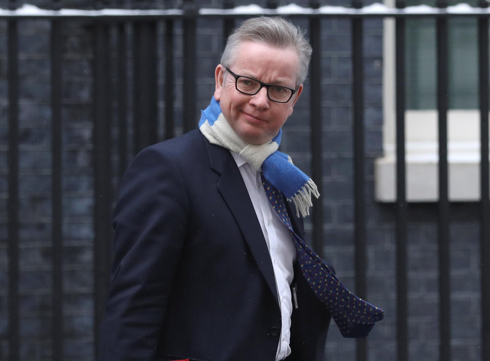 Environment secretary Michael Gove says any scheme must be value for money for taxpayers (REUTERS/Simon Dawson)