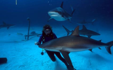 Jo cut her teeth while producing Blue Planet