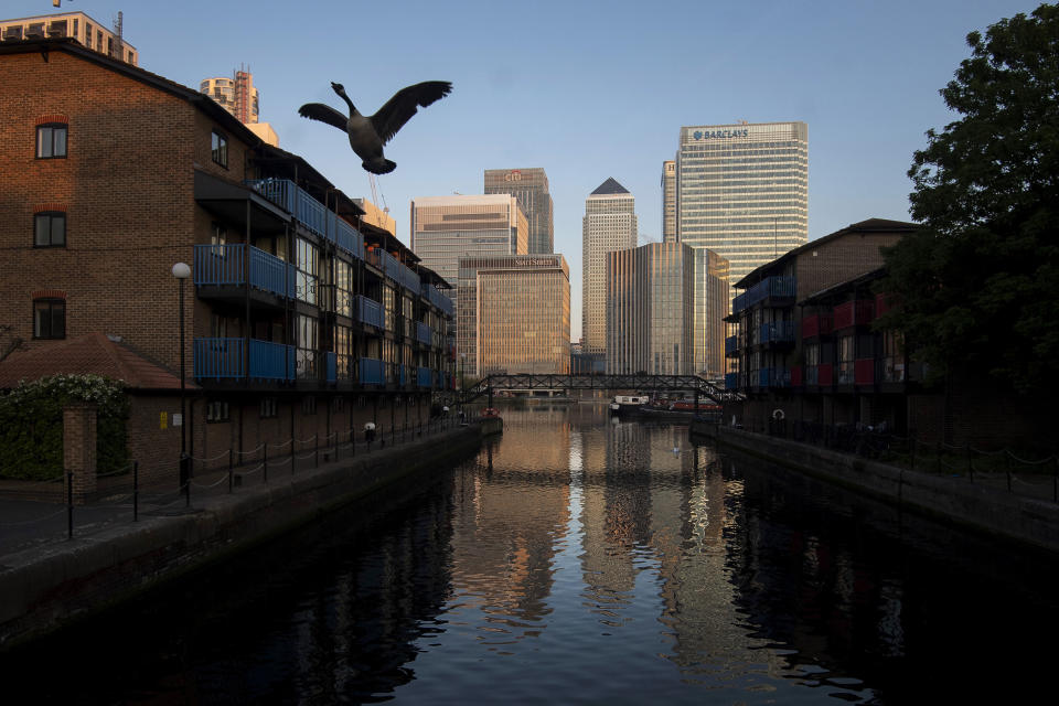 A Canada Goose takes flight from a water course backdropped by the buildings in Canary Wharf area of the City of London, early Thursday May 7, 2020.  The highly contagious COVID-19 coronavirus has impacted on nations around the globe, many imposing self isolation and exercising social distancing when people move from their homes. (Victoria Jones / PA via AP)