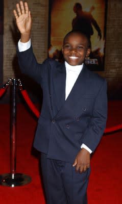 Yves Michel-Beneche at the LA premiere of Touchstone's National Treasure