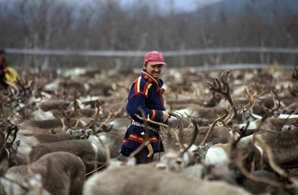 A Sámi reindeer herder in traditional clothes counts new calves while preparing the herd for the arduous winter months. <a href="https://www.gettyimages.com/detail/news-photo/sami-reindeer-herder-in-traditional-brightly-coloured-news-photo/535053696" rel="nofollow noopener" target="_blank" data-ylk="slk:In Pictures Ltd./Corbis via Getty Images;elm:context_link;itc:0;sec:content-canvas" class="link ">In Pictures Ltd./Corbis via Getty Images</a>