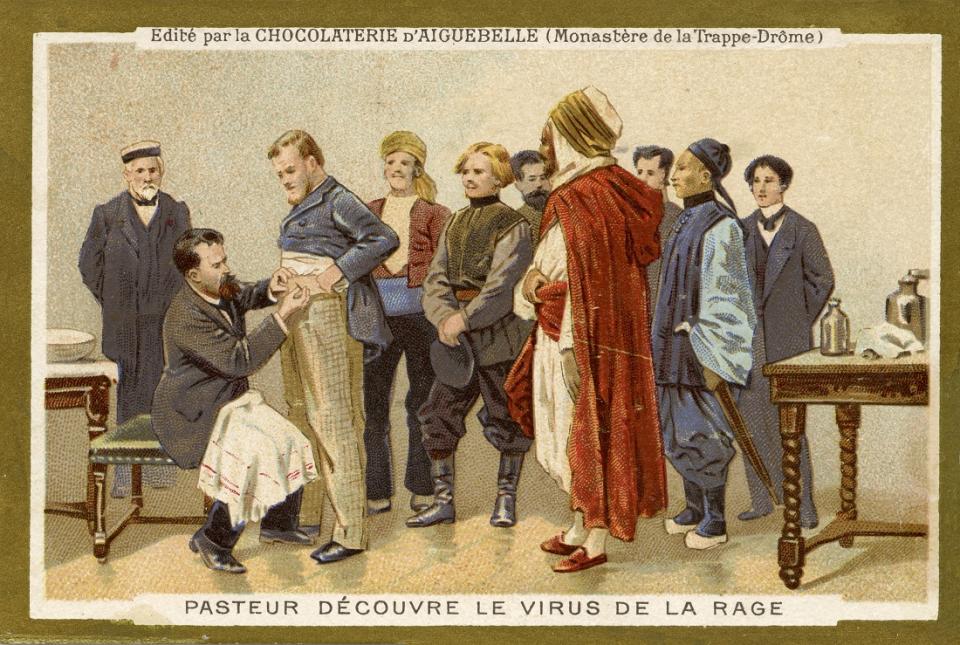 Louis Pasteur's development of the Rabies vaccine laid the foundations for the manufacture of many other vaccines