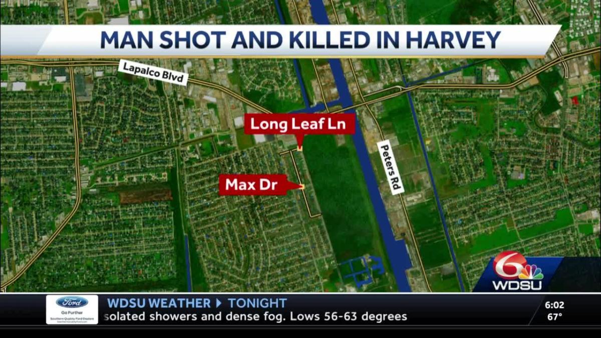 Man shot and killed in Harvey