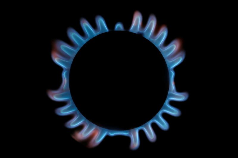 FILE PHOTO: A gas hob is seen in this photo illustration taken in London