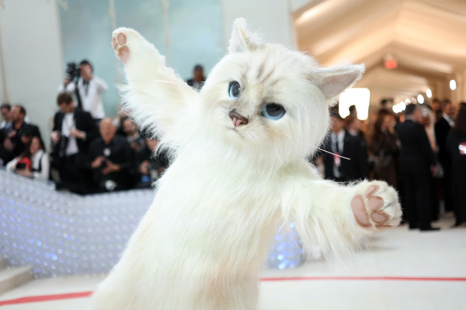 Jared Leto en la Met Gala 2023, con un look en honor a Choupette, la gata de Karl Lagerfeld (Photo by Mike Coppola/Getty Images)