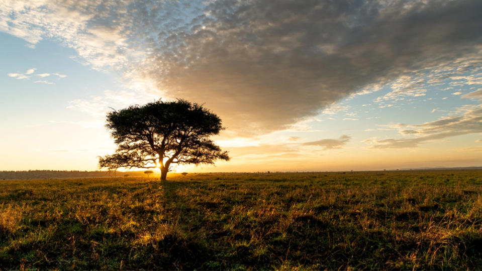 Singita Milele, Grumeti Reserve, Serengeti National Park, Tanzania