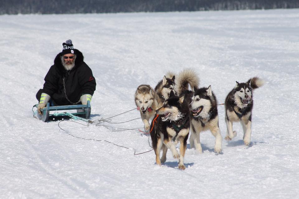 Dennis Burden won't be racing his dogs this year in Port Hope Simpson after the Eric Rumbolt Memorial Dog Sled Race was cancelled due to a lack of snow in the region.  (Shelley Russell Pye/Facebook - image credit)