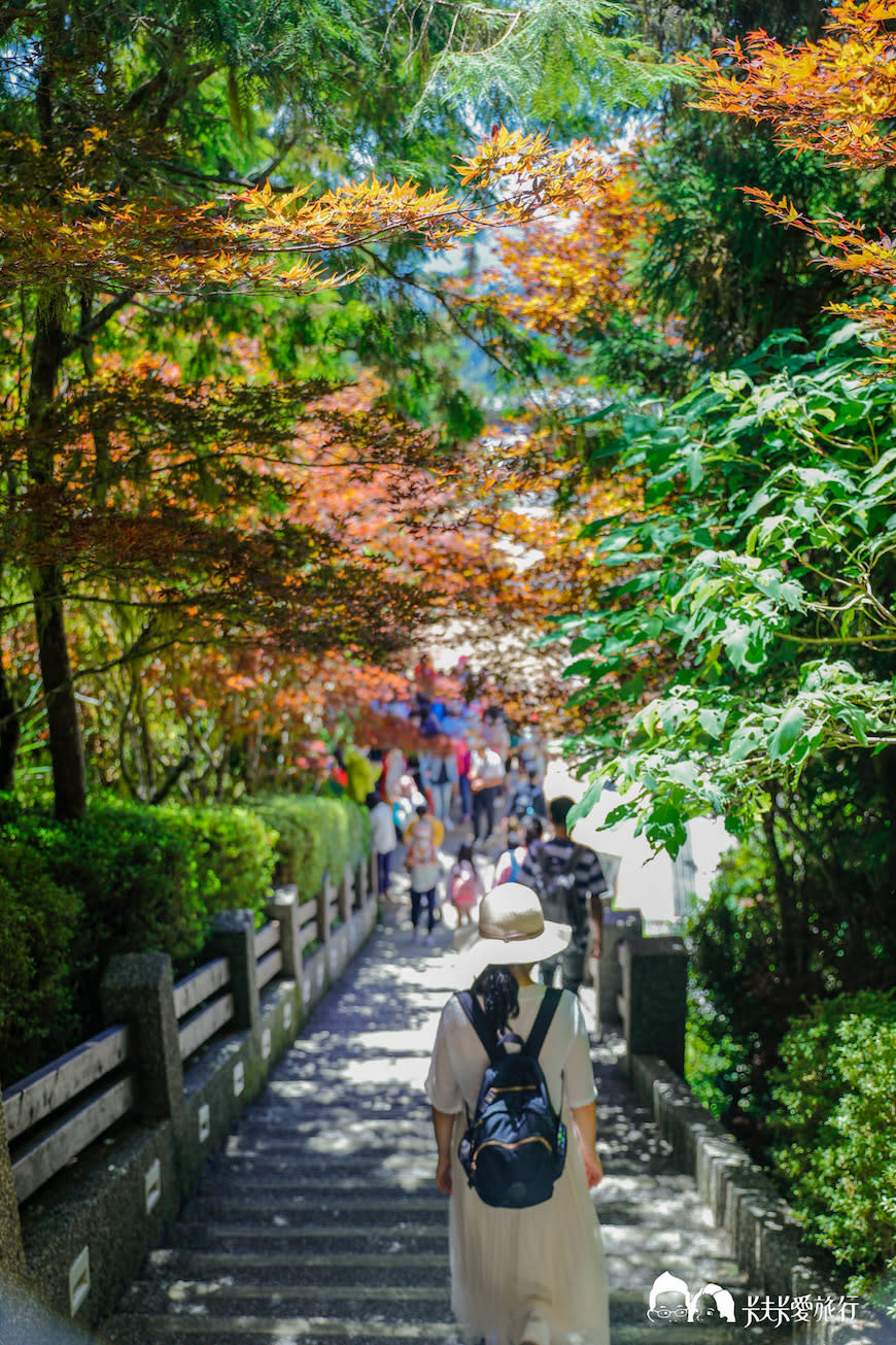 宜蘭太平山蹦蹦車之旅