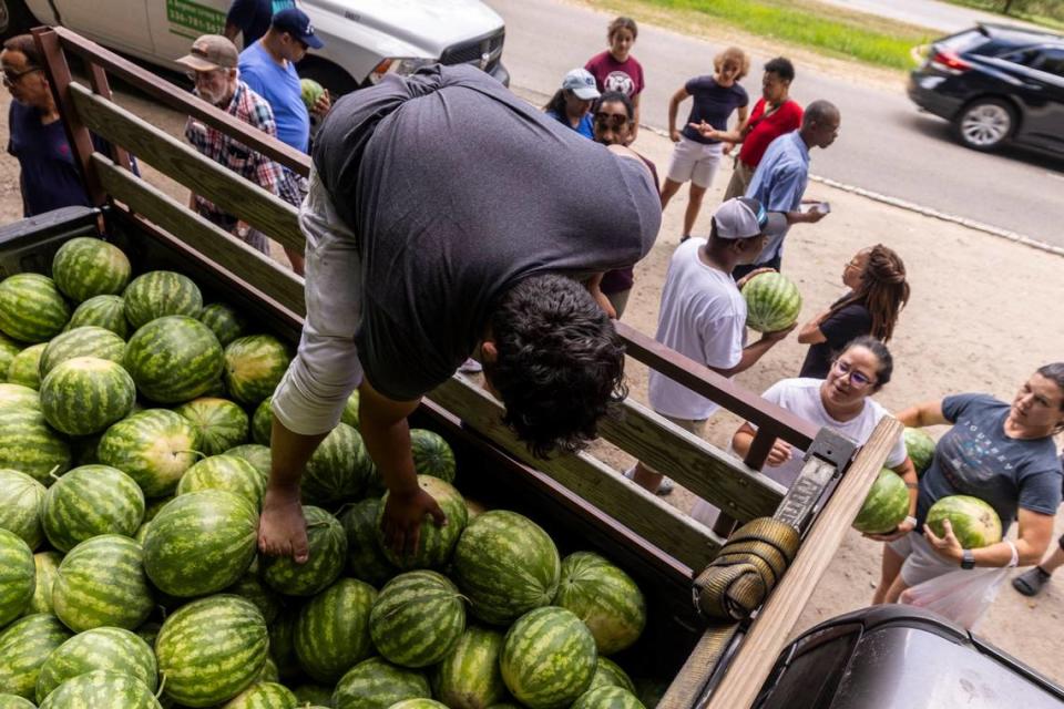 Jesus Sanchez unloads yellow watermelons from the back of a pickup truck on New Bern Avenue in Raleigh on Thursday, June 20, 2024. Sanchez’s mother, Sanjuana Sanchez, better known as the “Watermelon Lady,” saw an uptick in watermelon and fresh fruit sales Thursday as the Triangle experiences a heat wave.