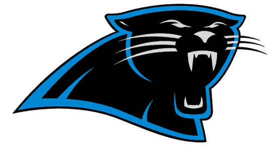 Carolina Panthers: Having Panthers as a nickname is like owning a 1990 Ford Taurus: It fills its purpose, but there's nothing remotely interesting about it.