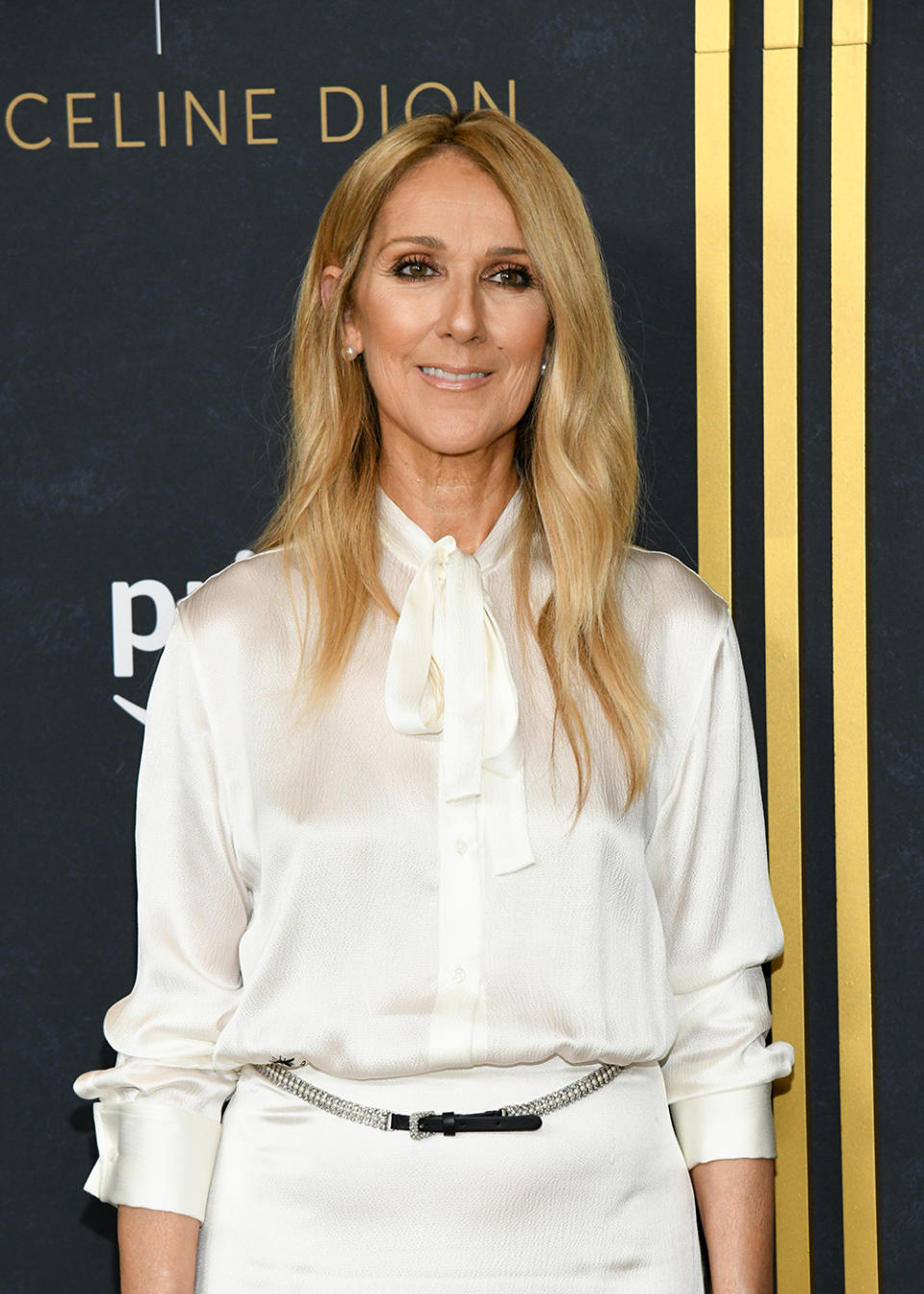 Celine Dion at a screening of "I Am: Celine Dion" on June 17 in New York, red carpet, Dior