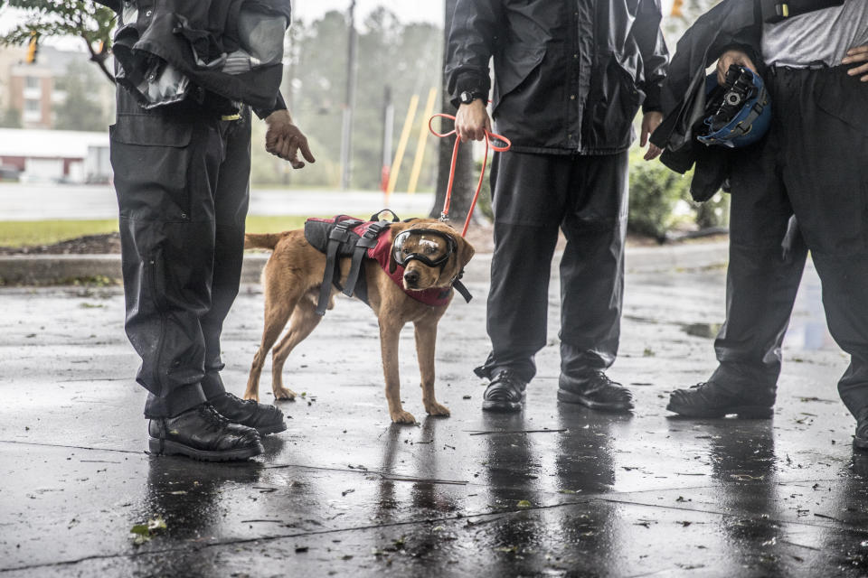 Rescue workers stand with a search dog as they prepare to continue rescue efforts after Hurricane Florence in Wilmington, North Carolina, U.S., on Saturday, Sept. 15, 2018.&nbsp;