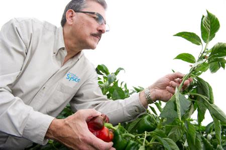 A Sysco Corp employee examines a produce plant in an undated publicity photo. Sysco Corp said it would buy rival US Foods Inc for about $3.5 billion and assume about $4.7 billion in debt to cement its position as the biggest U.S. food distributor, driving up Sysco's shares 30 percent before the bell. REUTERS/Handout via Sysco Corp