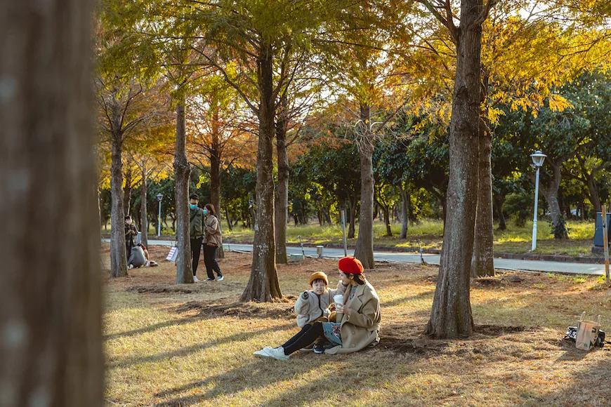 &#x0053f0;&#x004e2d;&#x00ff5c;&#x009e97;&#x005bf6;&#x006a02;&#x005712;