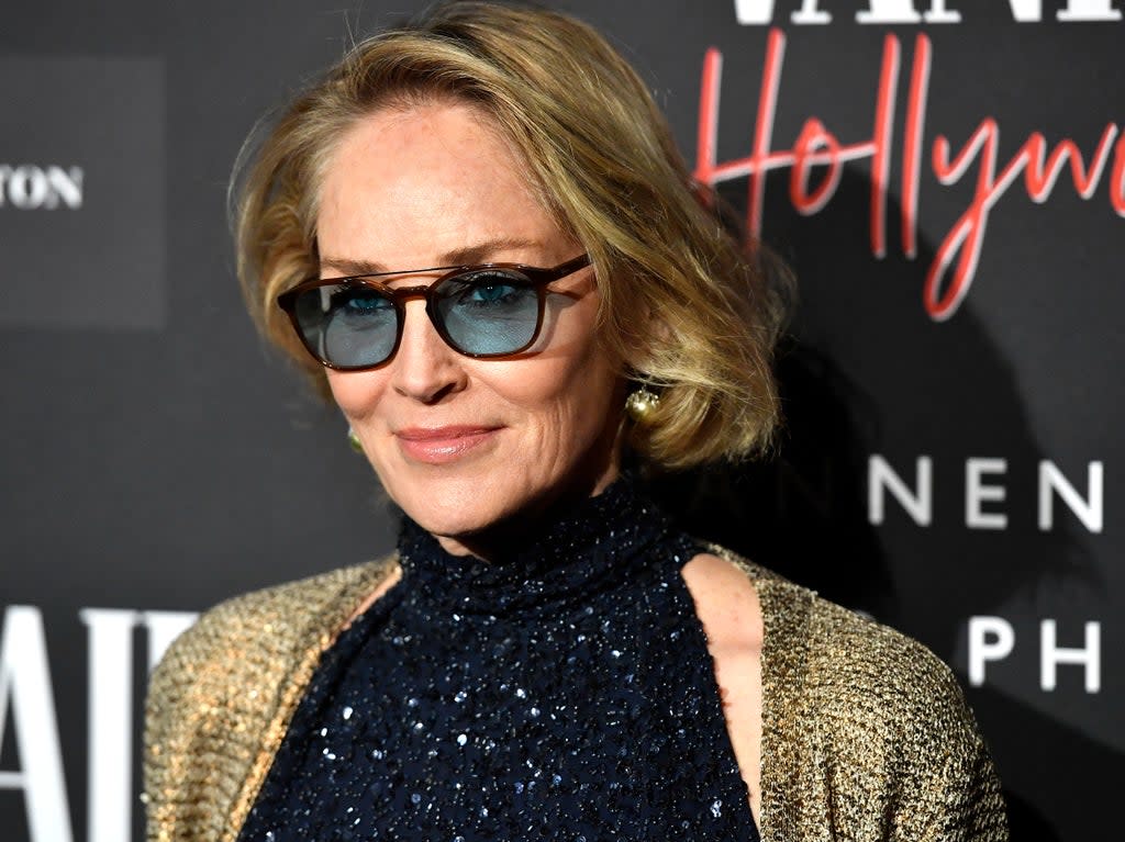 Sharon Stone at an event on 4 February 2020 in Century City, California (Frazer Harrison/Getty Images)