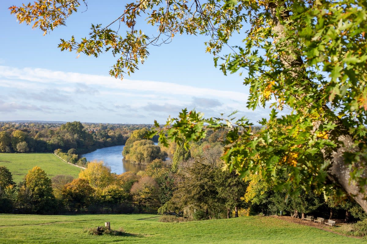 Access to nature meant this leafy London locale was full of happy residents (Adrian Lourie)