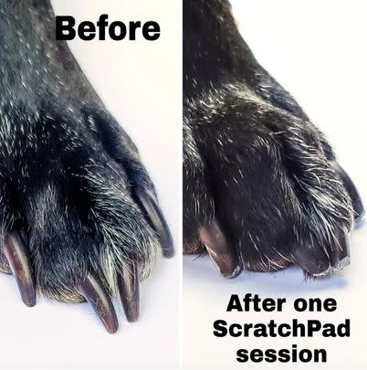 A ScratchPad, a genius tool that'll allow your pup to file their own nails