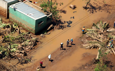 People walk past fallen palm trees as flood waters begin to recede in the aftermath of Cyclone Idai, in Buzi near Beira, Mozambique March 24, 2019. REUTERS/Mike Hutchings TPX IMAGES OF THE DAY