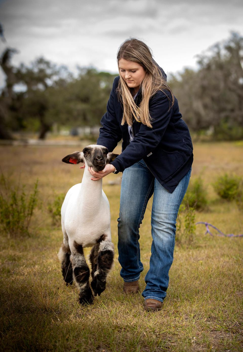 Bartow High School FFA member Katie Stokes parades her lamb Miranda Lambert at her home in Fort Meade Fl. Monday January 17 ,  2021.Stokes is raising a pig and a lamb for the annual Youth Fair ERNST PETERS/ THE LEDGER