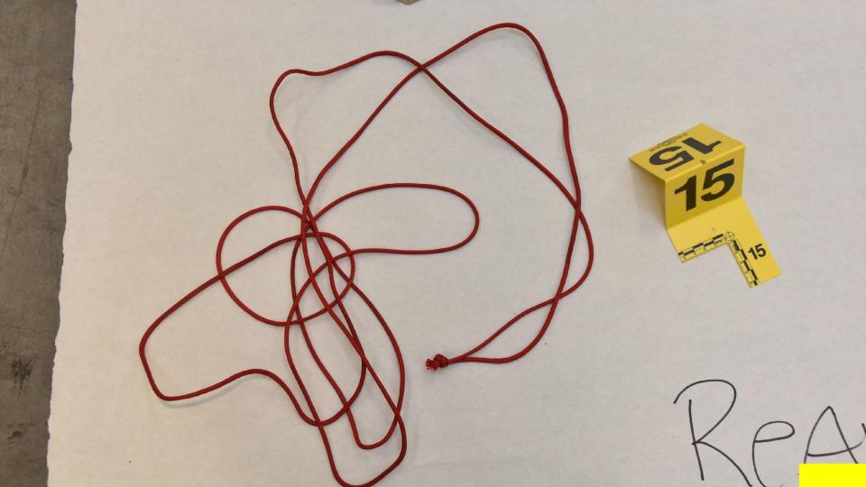 Jade Janks, an interior decorator, told investigators this red rope and other materials were purchased for a painting project.  / Credit: San Diego Superior Court North County Division