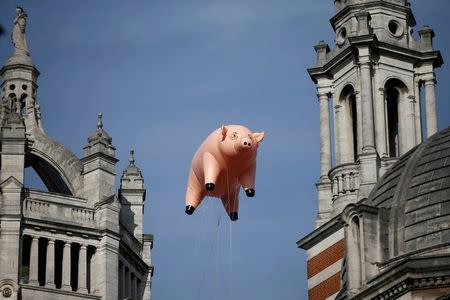 An inflatable pig from the band Pink Floyd floats over the Victoria and Albert Museum to promote "The Pink Floyd Exhibition: Their Mortal Remains", which will open in May 2017, in London, Britain August 31, 2016. REUTERS/Peter Nicholls