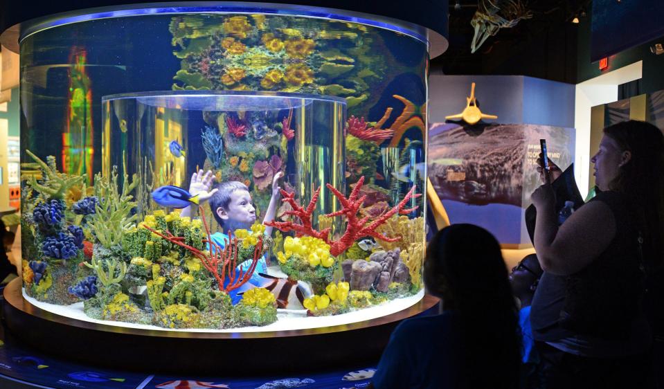 Ocean Commotion is June 25 at the South Florida Science Center and Aquarium in West Palm Beach.